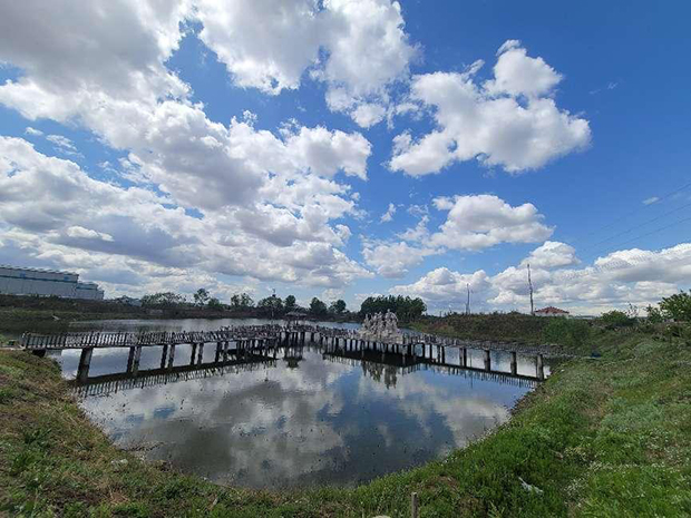 image005.jpg image005.jpg